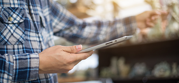 Programa de gestión Gesnova - Responsive