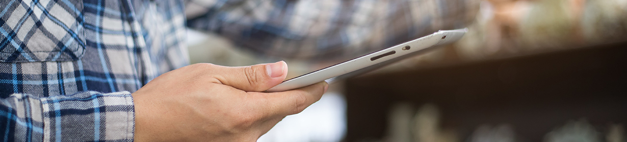 Programa de gestión Gesnova